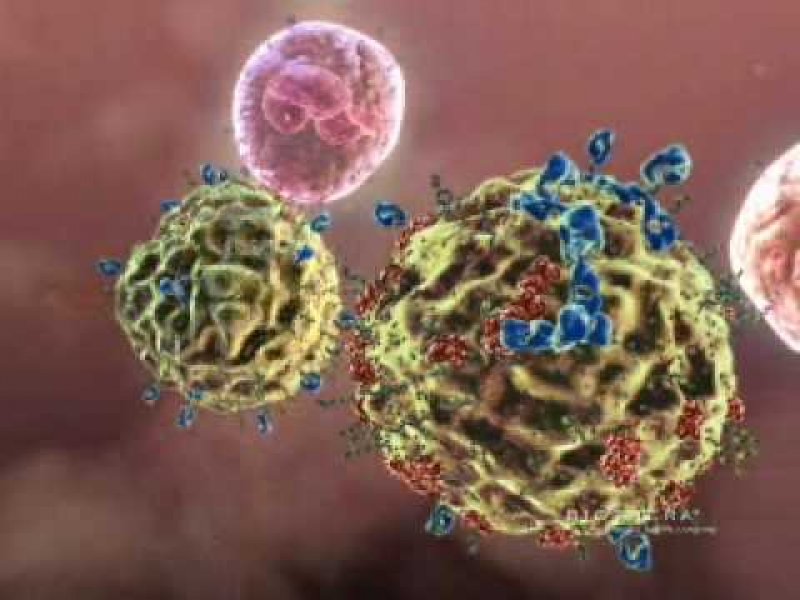 Immunrendszer erősítés és koleszterin csökkentés béta- glucanokkal