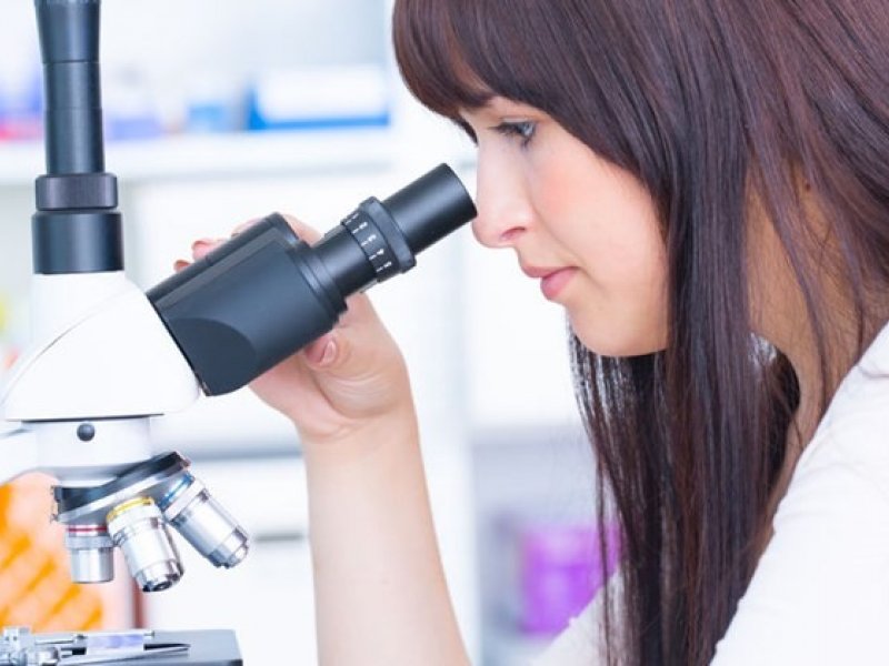  A rákos daganatok megjelenésének okai