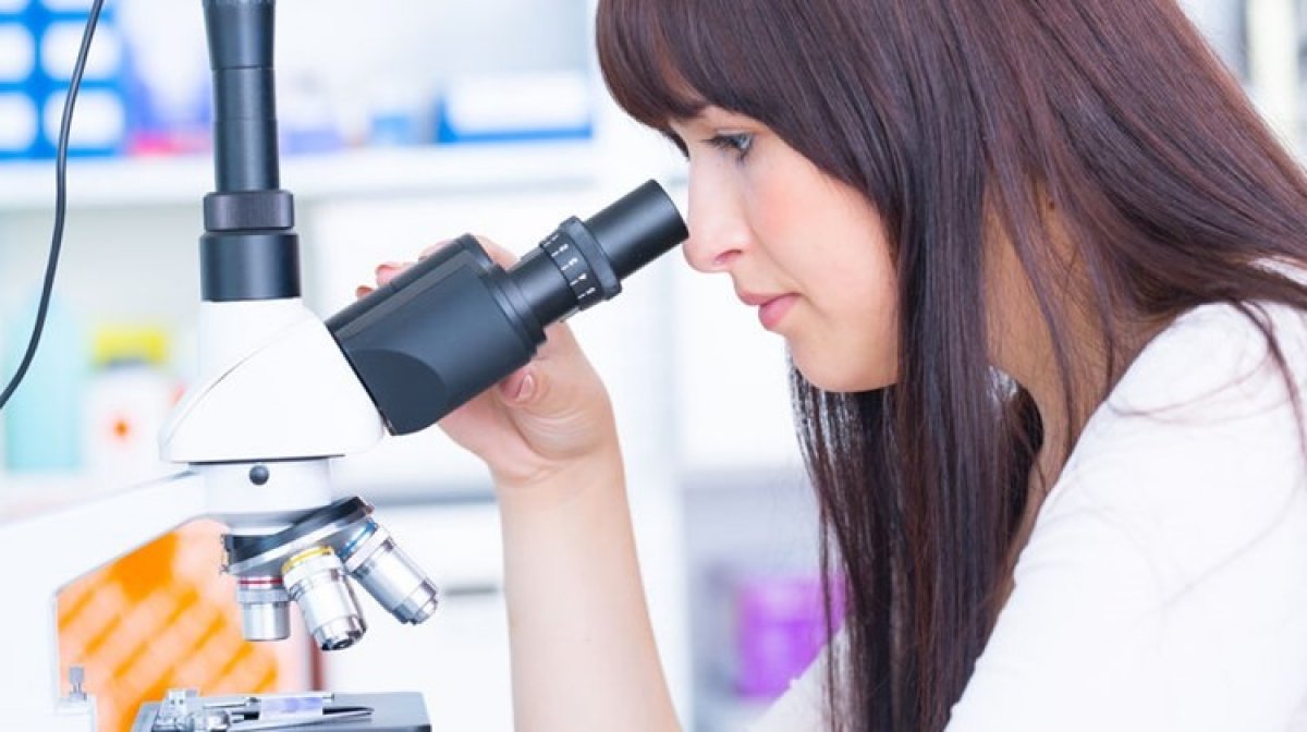 A rákos daganatok megjelenésének okai A rákos daganatok megjelenésének okai